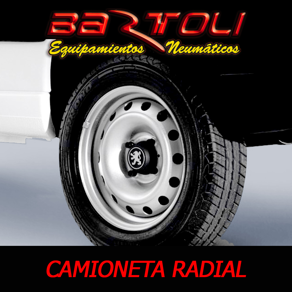 CAMIONETA RADIAL VAN