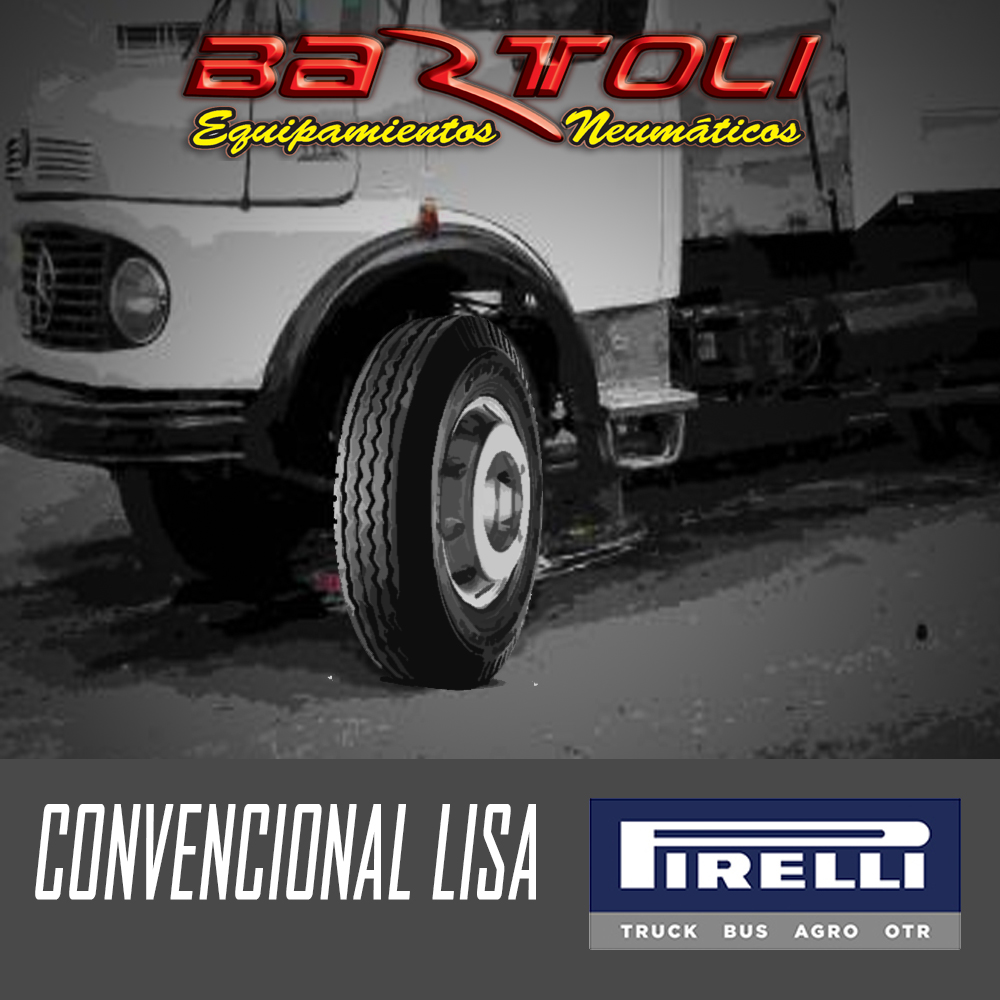 CAMION CONVENCIONAL LISA